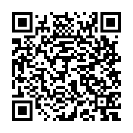 QR code for CAR171