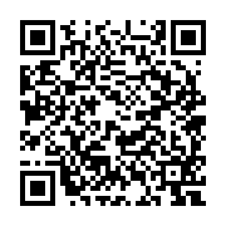QR code for CEO2960
