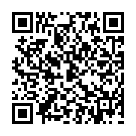 QR code for CEO951
