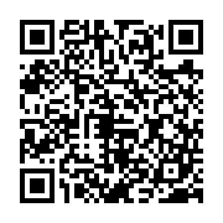 QR code for CHI6471