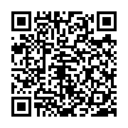 QR code for CHJ6295