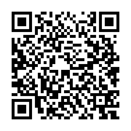 QR code for CHN6339