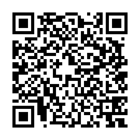 QR code for CKG4786