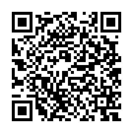 QR code for CNR0653