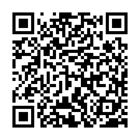 QR code for COR369