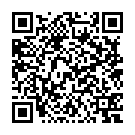 QR code for CVS8313