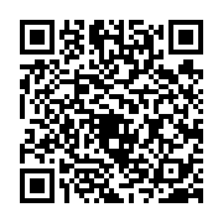 QR code for CXD6394