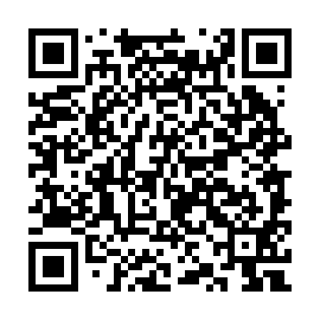 QR code for CZD291
