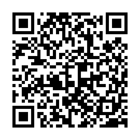 QR code for CZI451