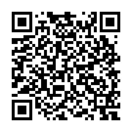 QR code for CZO391