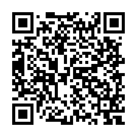 QR code for CZP595