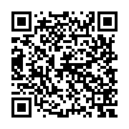 QR code for CZT959