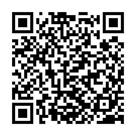 QR code for CZY500