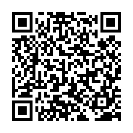 QR code for DAO454