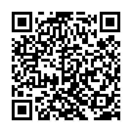 QR code for DBI438
