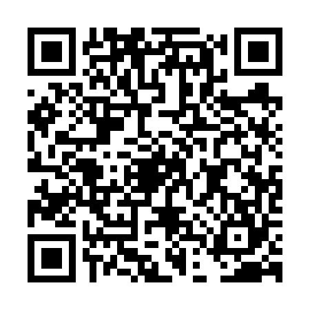 QR code for DDQ6641