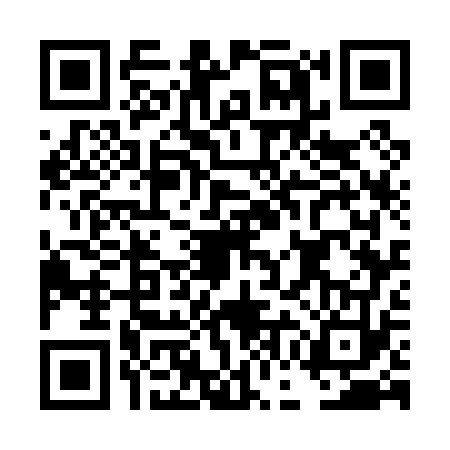 QR code for DGG0733