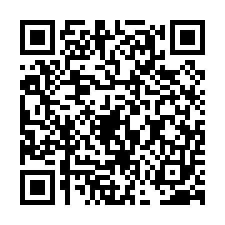 QR code for DGQ0533