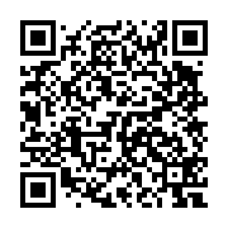QR code for DHO419