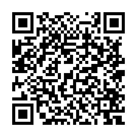 QR code for DIA8479