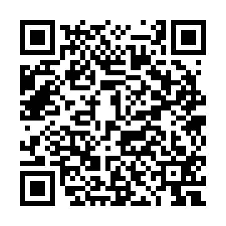 QR code for DIC2138