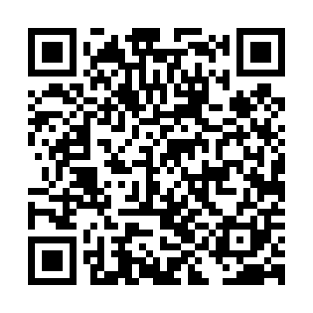 QR code for DID401