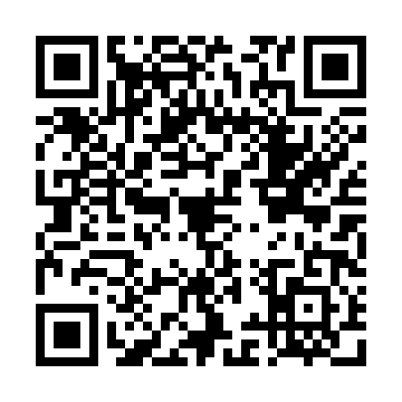 QR code for DIP3812