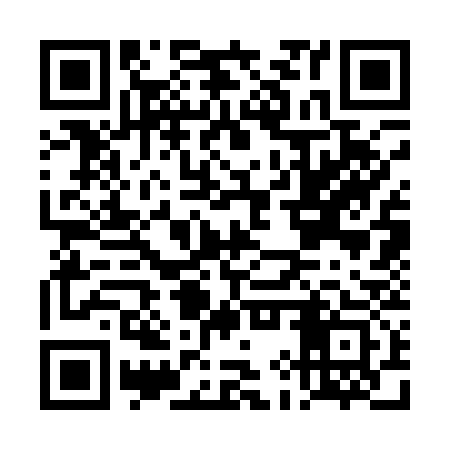 QR code for DIS133