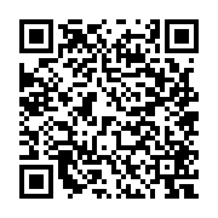 QR code for DIZ1493