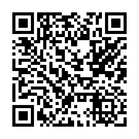 QR code for DIZ833