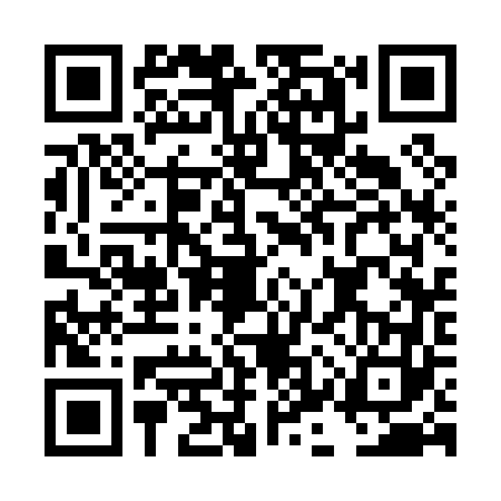 QR code for DKS0636