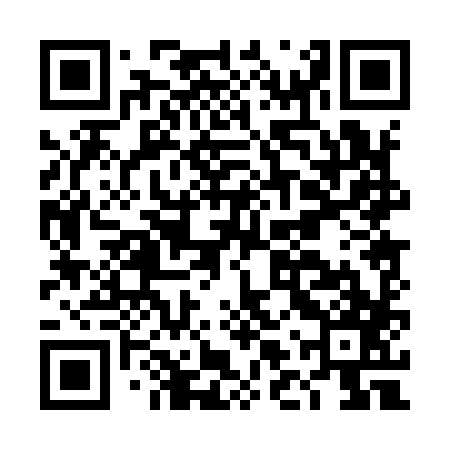 QR code for DLP987