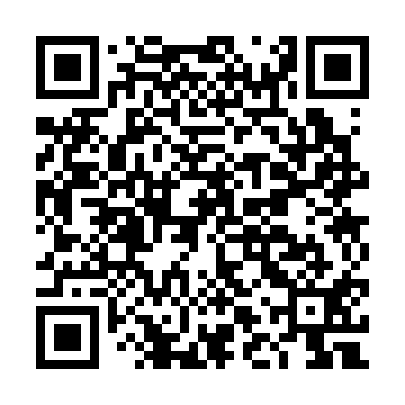 QR code for DLS311