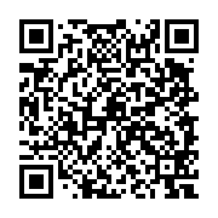 QR code for DLT499