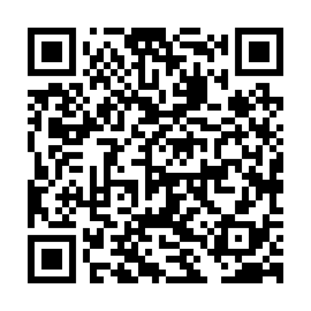 QR code for DLX238