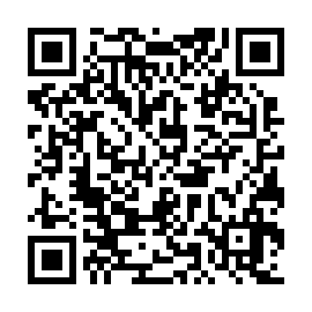 QR code for DMG236