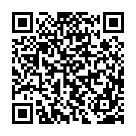 QR code for DMP176