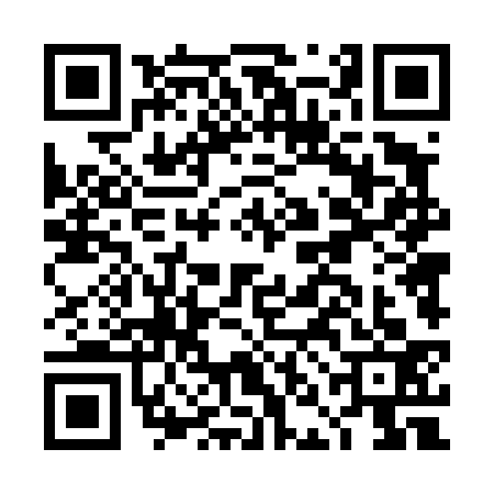 QR code for DND4333