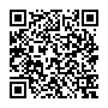 QR code for DPI2795