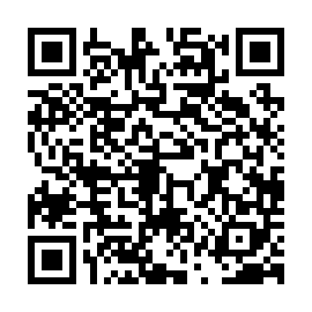 QR code for DQP2486