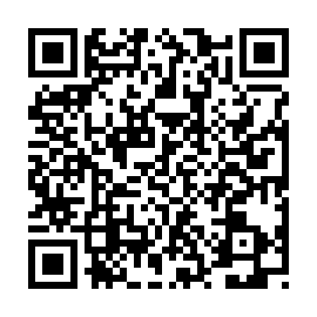 QR code for DSE3335