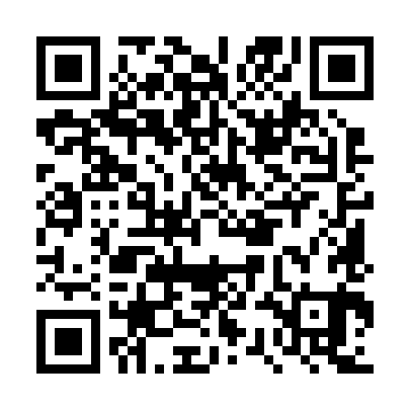 QR code for DSM281