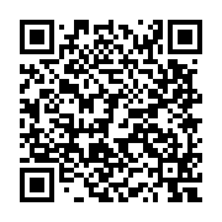 QR code for DSQ595