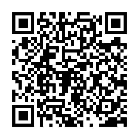 QR code for DST6385