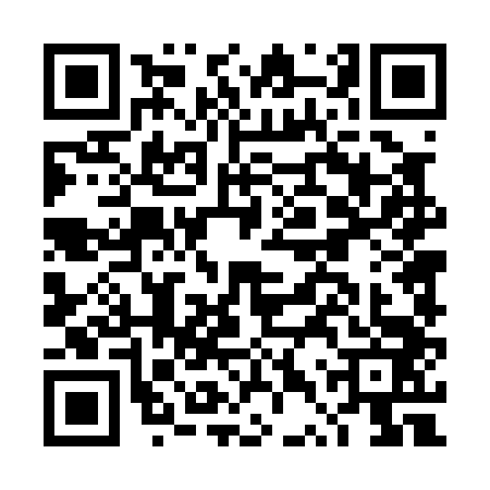 QR code for DTT0438
