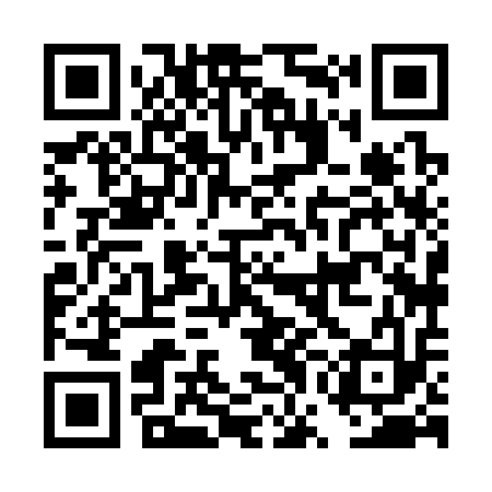QR code for DWH313