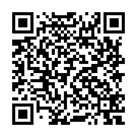 QR code for DWI919