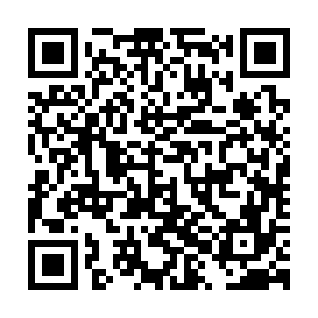 QR code for DXB376