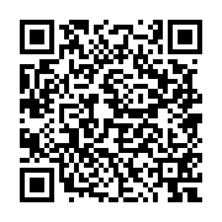 QR code for DYP5513
