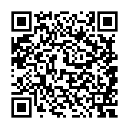 QR code for DYV8813